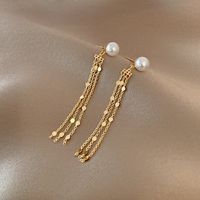 Sterling Silver Needle Long Pearl Tassel Earrings Cold Style Design Exaggerated Ear Jewelry Personalized Hong Kong Style Trendy Earrings main image 3