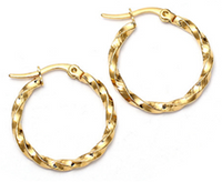 Simple Women's Titanium Steel Hypoallergenic Twisted Earrings main image 3