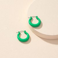 Popular New Jewelry Wholesale 1 Pair Of Lacquered Basic Ear Hoop Earrings main image 3