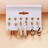 New Retro C-shaped Earrings Set 6 Pairs Creative Personality Dripping Oil Leopard Love Butterfly Earrings main image 4