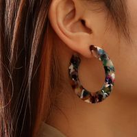 Naizhu European And American Popular Ornament Graceful Personality Acrylic Earrings Irregular Color Earrings Factory Wholesale main image 5