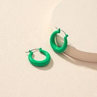 Popular New Jewelry Wholesale 1 Pair Of Lacquered Basic Ear Hoop Earrings sku image 2