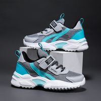 Printemps Et Automne Nouvelles Chaussures De Sport En Maille Pour Enfants Chaussures Coréennes Légères À Semelles Souples Pour Garçons main image 2