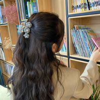 Clip De Capture De Fleur De Laine Simple Coréen Mode Mignon Strass Petite Capture De Cheveux En Peluche En Gros main image 5