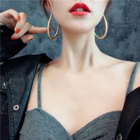 Japanese And Korean New All-match Slim Face Earrings Women's Personal Influencer Trendy Ring Long Earrings Simple And Elegant Earrings main image 3