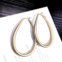 Japanese And Korean New All-match Slim Face Earrings Women's Personal Influencer Trendy Ring Long Earrings Simple And Elegant Earrings sku image 1