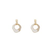 S925 Boucles D&#39;oreilles Irrégulières En Forme D&#39;aiguille En Argent Niche De Tempérament Boucles D&#39;oreilles En Zircon Micro-incrusté Personnalité Boucles D&#39;oreilles En Cuivre Acrylique Toutes Assorties main image 6