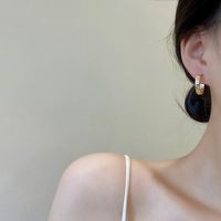 Net Celebrity Fashion Simple Geometric Copper Earrings Personality Trend Temperament Wild Earrings Cold Wind Design Niche Ear Jewelry main image 5