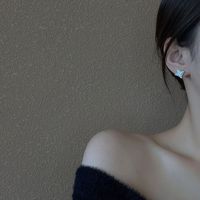 Europäische Und Amerikanische Mode Französisch Muschel Ohrringe Weibliche Diamant Persönlichkeit Ins Design Ohrringe Geometrische Kompakte Ohrringe main image 2