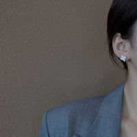 Europäische Und Amerikanische Mode Französisch Muschel Ohrringe Weibliche Diamant Persönlichkeit Ins Design Ohrringe Geometrische Kompakte Ohrringe main image 4
