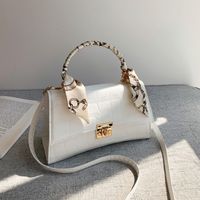 Fashion New Texture Chain Bag Western Stone Pattern Single Shoulder Messenger Small Square Bag main image 1
