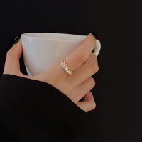 Korean Style Design Niche Zircon Ring Female Cold Style Personality Fashionable Index Finger Ring Open Adjustable Micro-inlaid Ring main image 3