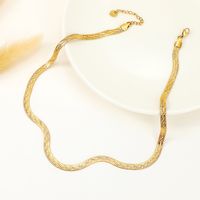 European And American New Titanium Steel Necklace Flat Snake Bones Chain Female Ins Blogger Cold Wind Solid Stainless Steel Snake Chain main image 3