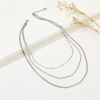 European And American Trendy Jewelry Fashion New Snake Chain Flat Nozzle Chain Punk Multi-layer Twin Stainless Steel Necklace Necklace main image 3