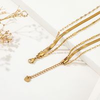 European And American Trendy Jewelry Fashion New Snake Chain Flat Nozzle Chain Punk Multi-layer Twin Stainless Steel Necklace Necklace main image 4
