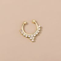 Ins Europe And America Cross Border Ornament Popular Crystal Diamond Nose Ring Nose Studs Golden Flower Diamond Puncture Nose Ring Accessories For Women main image 5