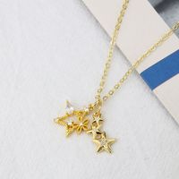 Collar Con Colgante De Diamantes De Estrella De Cinco Puntas Coreano main image 4
