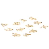 Nose Rings & Studs Fashion Constellation Copper Plating main image 6