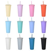 Double-layer Plastic Straw Cup With Lid 24oz Large-capacity Plastic Frosted Ready-to-hand Water Cup main image 6