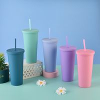 Double-layer Plastic Straw Cup With Lid 24oz Large-capacity Plastic Frosted Ready-to-hand Water Cup main image 3
