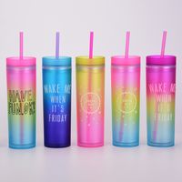 New Gradient Rainbow Color Water Cup Straight Double Plastic Straw Cup main image 4