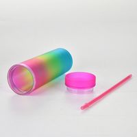 New Gradient Rainbow Color Water Cup Straight Double Plastic Straw Cup main image 3