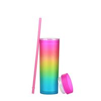 New Gradient Rainbow Color Water Cup Straight Double Plastic Straw Cup main image 2