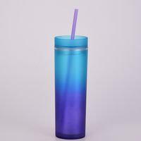 New Gradient Rainbow Color Water Cup Straight Double Plastic Straw Cup sku image 3