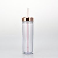 Spot Goods 16oz Double Plastic Straw Cup Simple Skinny Straight Tube Can Be Set Rose Gold Plating Lid Water Cup sku image 1