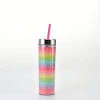 16oz Double-layer Plastic Straw Cup Rainbow Gradient Glitter Straight Cup Universal Cold Drink Cup sku image 1
