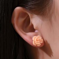 Außenhandel Neue Gefrostete Ohrringe 12 Paar Set Europäische Und Amerikanische Mode Einfache Niedliche Blume Geometrische Kleine Ohrringe Ohrringe main image 4