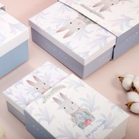 Creative Cartoon Ins Style Gift Box Birthday Gift Box Scarf Packaging Box Hand Gift Box Paper Box In Stock Wholesale main image 4