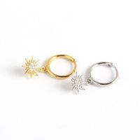 S925 Sterling Silver Minimalist Geometric Small Sun Diamond All-match Earrings main image 6