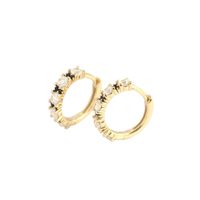 New S925 Silver Geometric Two-color Zircon Ear Ring Ear Buckle main image 6