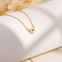 Titanium Steel 18K Gold Plated Simple Style Korean Style Plating Animal Paw Print Bracelets Earrings Necklace main image 4