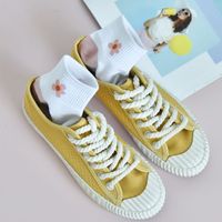 Summer New Products Ladies Cartoon Small Flower Pure Cotton Shallow Mouth Mesh Boat Socks main image 4