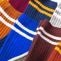Autumn And Winter New Japanese Style Two Bar Women's Cotton Mid-calf Socks Thick Thread Striped All-matching Casual Korean Socks Wholesale main image 3