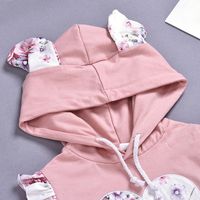 Children's Clothing Hooded Sweater Long-sleeved Suit Two-piece Suitwholesale main image 4
