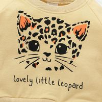 New Style Baby Long-sleeved Dress Leopard Print Long-sleeved Sweater Skirt Children's Clothing main image 4