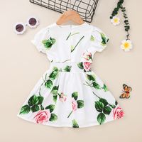 Kids' Skirt Clothing 2021 Summer Short-sleeved Printed Dress Chiffon Baby Girl Princess Dress Cross-border main image 6