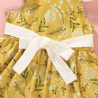Newborn Clothes Suspender Skirt Girls 2021summer New Baby Girl's Dress Printed Baby Princess Dress main image 3