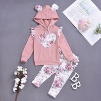 Children's Clothing Hooded Sweater Long-sleeved Suit Two-piece Suitwholesale sku image 1