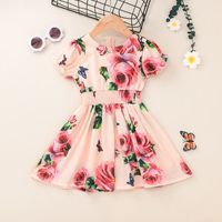 Kids' Skirt Clothing 2021 Summer Short-sleeved Printed Dress Chiffon Baby Girl Princess Dress Cross-border sku image 6