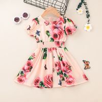 Ropa De Falda Para Niños 2021 Verano Vestido De Manga Corta Estampado Vestido De Princesa De Chifón Vestido Cruzado sku image 6