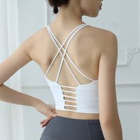 Printemps Et En Été Nouvelle Européen Et Américain Push Up Soutien-gorge Sport Soutien-gorge Courir Workout Beauté Retour Gilet De Yoga Sport Sous-vêtements Femmes sku image 1