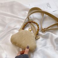 حقيبة من جلد الغزال مصقولة 2021 حقيبة شتوية جديدة للمرأة ريترو sku image 1