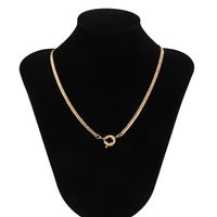 Simple Single-layer Flat Snake Bone Chain Necklace Retro Spring Clasp Pendant Chain Necklace main image 6