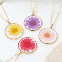 Bohemian Natural Dried Flower Transparent Round Resin Necklace main image 3