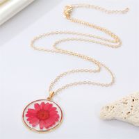 Bohemian Natural Dried Flower Transparent Round Resin Necklace main image 1