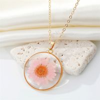 Bohemian Natural Dried Flower Transparent Round Resin Necklace main image 5